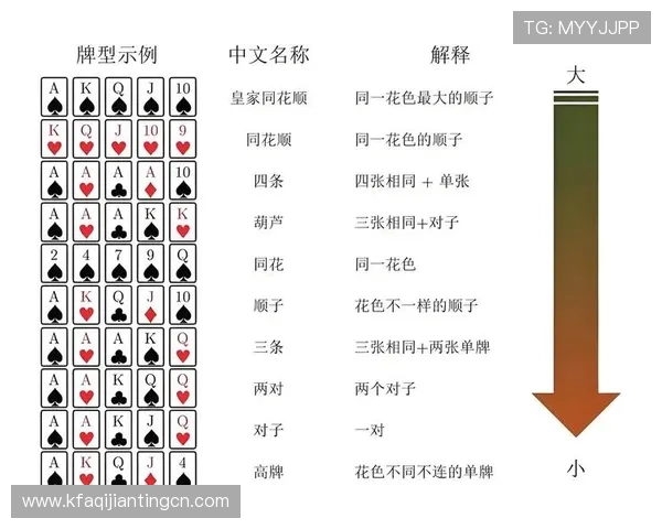 德州扑克基本规则详解帮助新手快速入门掌握游戏技巧