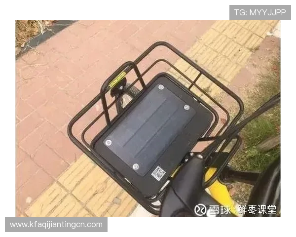 K8直营平台的运营模式详解,揭秘背后高效管理与优质服务的秘密